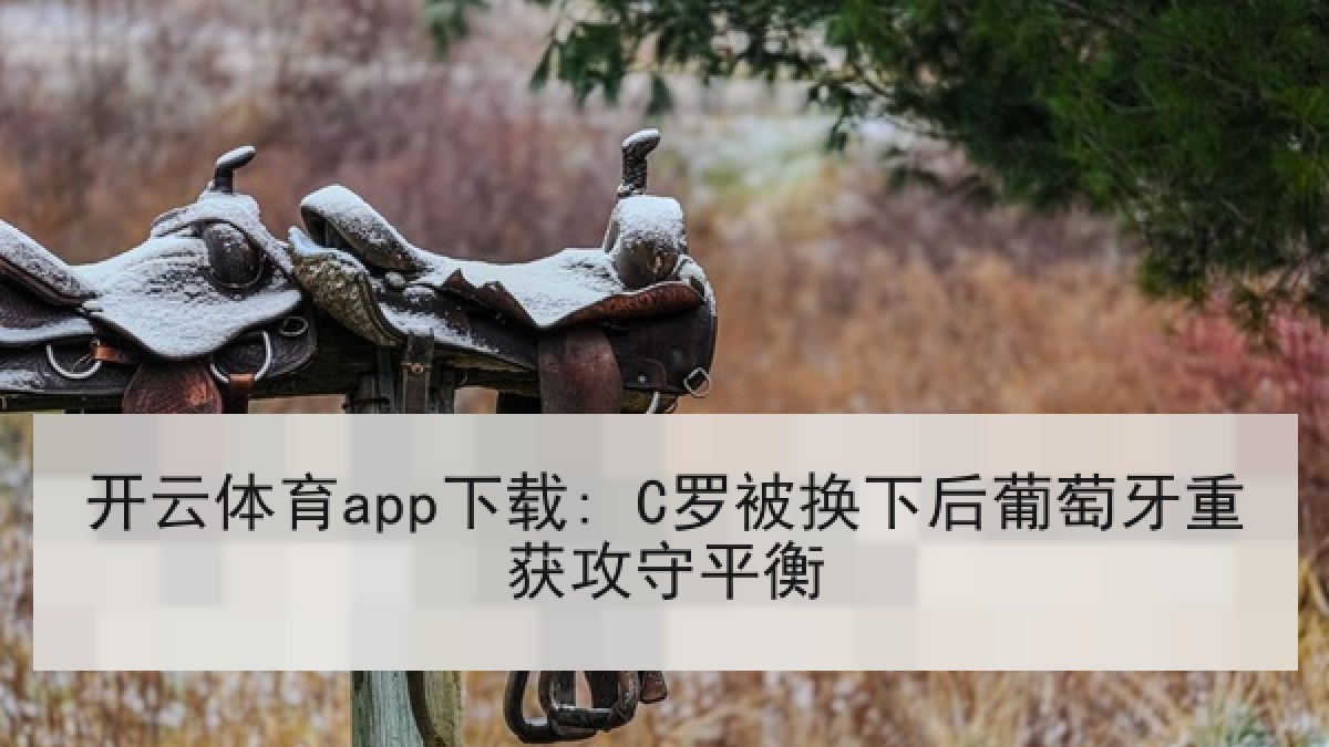开云体育app下载: C罗被换下后葡萄牙重获攻守平衡 开云体育app下载: C罗被换下后葡萄牙重获攻守平衡