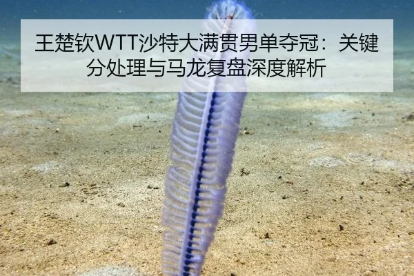 王楚钦WTT沙特大满贯男单夺冠：关键分处理与马龙复盘深度解析